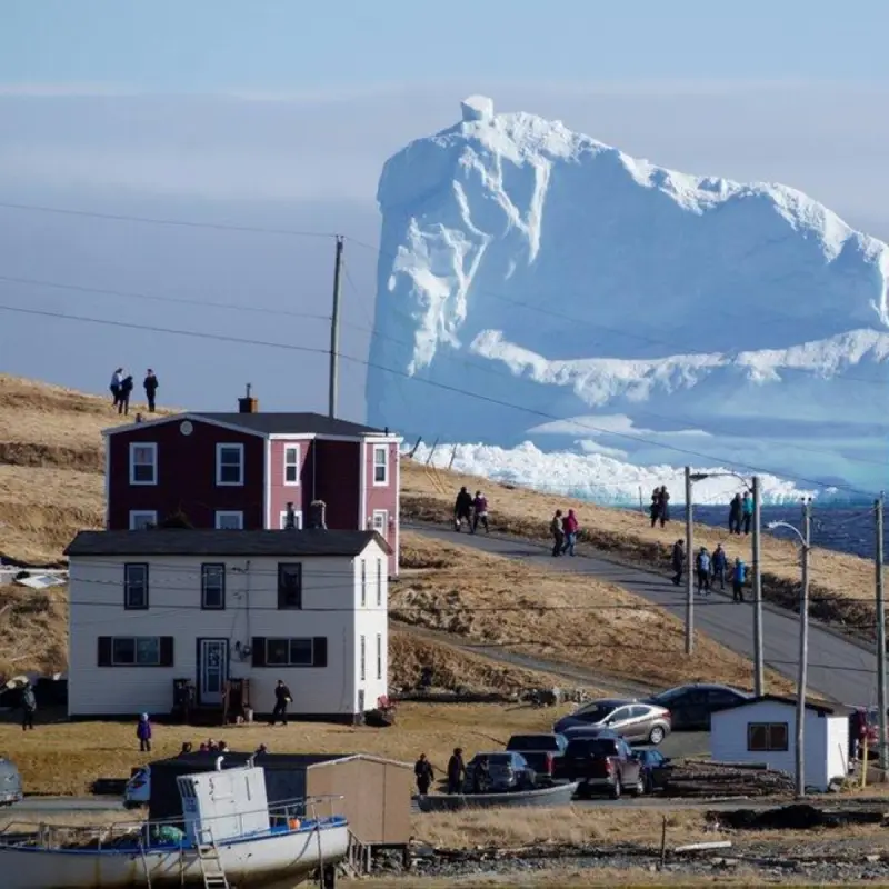 Newfoundland coastal landscape
